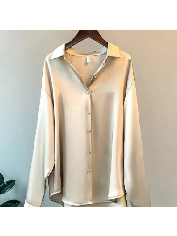 Plus Size Casual Vrouwen Zijde - Women'S Formal Wear Blouse recensie en prijs