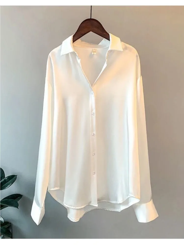 Plus Size Casual Vrouwen Zijde - Women'S Formal Wear Blouse recensie en prijs