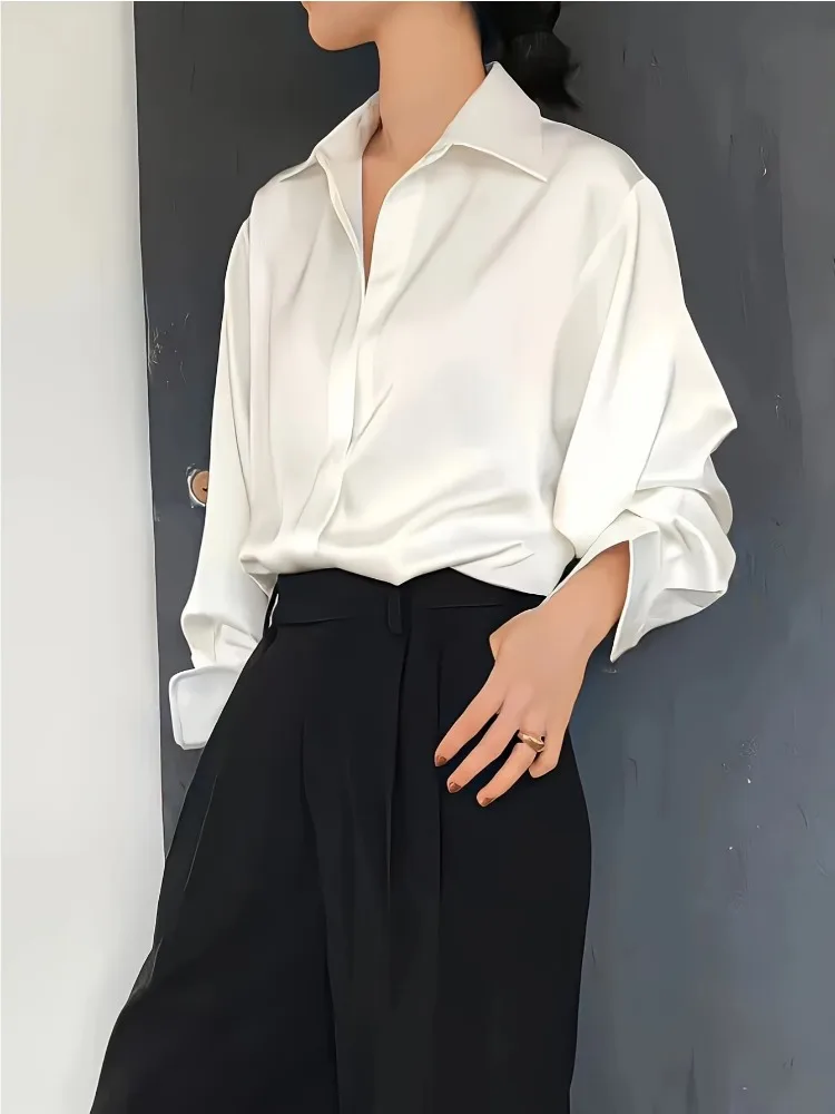 Plus Size Casual Vrouwen Zijde - Women'S Formal Wear Blouse recensie en prijs